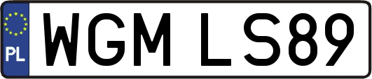 WGMLS89