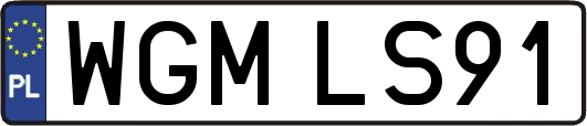 WGMLS91