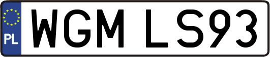 WGMLS93