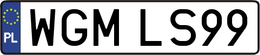 WGMLS99