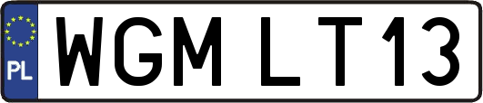 WGMLT13