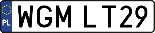 WGMLT29