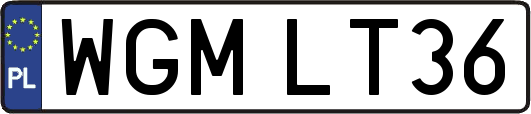 WGMLT36