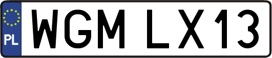 WGMLX13