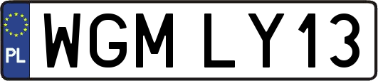 WGMLY13