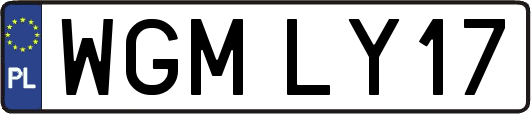 WGMLY17