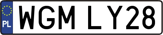 WGMLY28