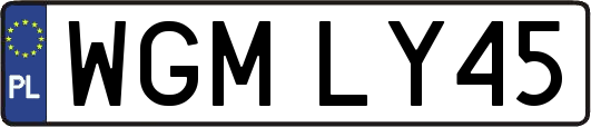 WGMLY45