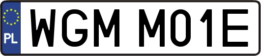WGMM01E
