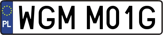 WGMM01G