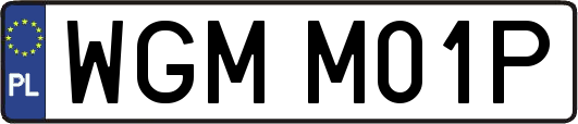 WGMM01P
