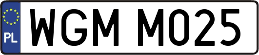 WGMM025