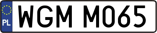 WGMM065