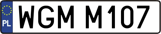 WGMM107