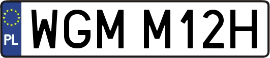 WGMM12H
