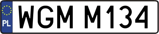 WGMM134