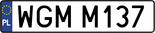 WGMM137
