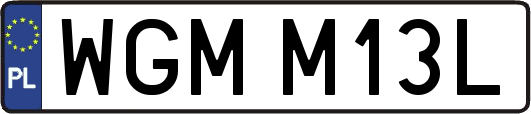 WGMM13L