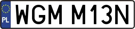 WGMM13N