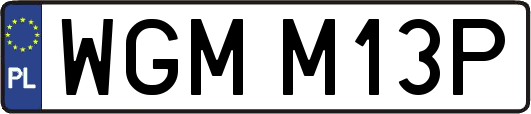 WGMM13P