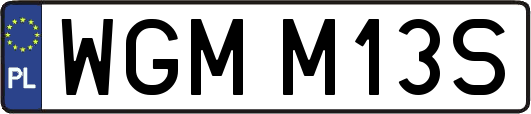 WGMM13S