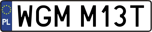 WGMM13T