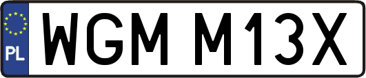 WGMM13X