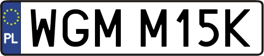 WGMM15K