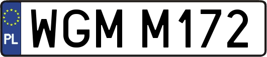 WGMM172