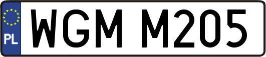 WGMM205