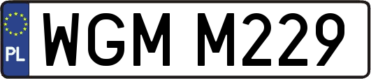 WGMM229