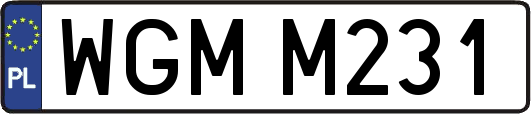WGMM231