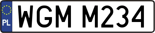 WGMM234