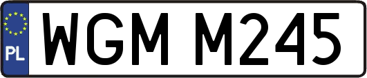 WGMM245