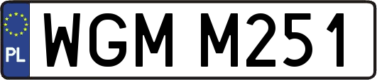 WGMM251