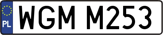 WGMM253