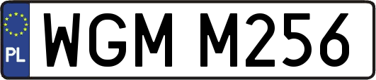 WGMM256
