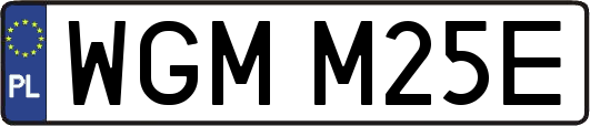 WGMM25E