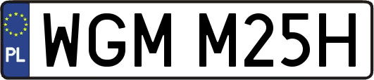 WGMM25H