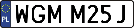 WGMM25J