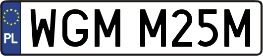 WGMM25M
