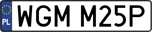 WGMM25P
