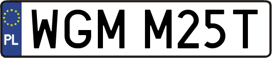 WGMM25T