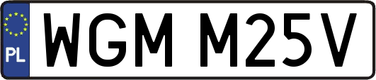 WGMM25V