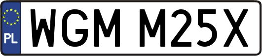 WGMM25X
