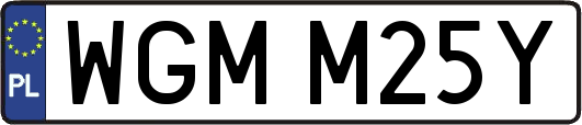 WGMM25Y