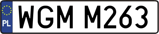 WGMM263