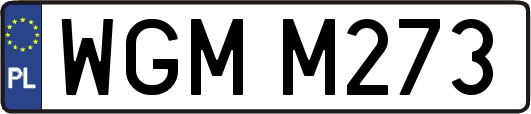 WGMM273