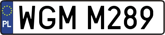 WGMM289