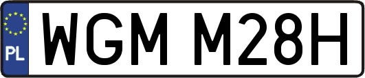 WGMM28H